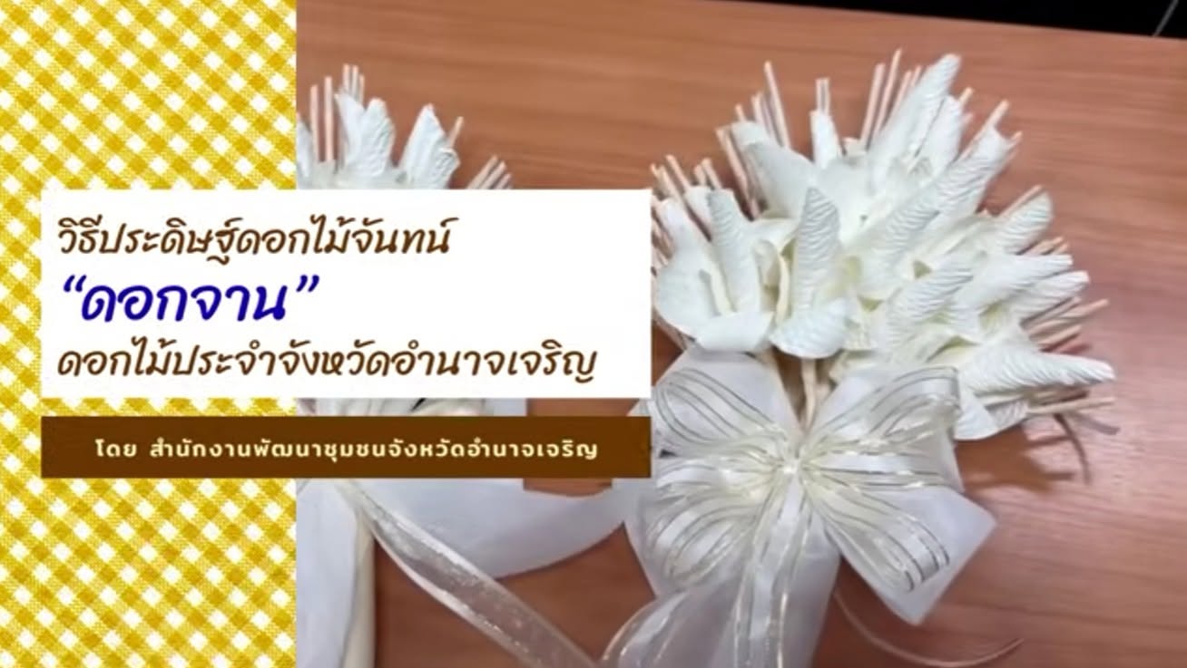 วิธีประดิษฐ์ดอกไม้จันทน์ "ดอกจาน" ดอกไม้ประจำจังหวัดอำนาจเจริญ